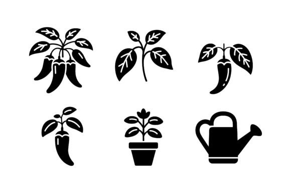Chili Plant Growing Icon Set EPS: A Visual Guide for Modern Gardeners